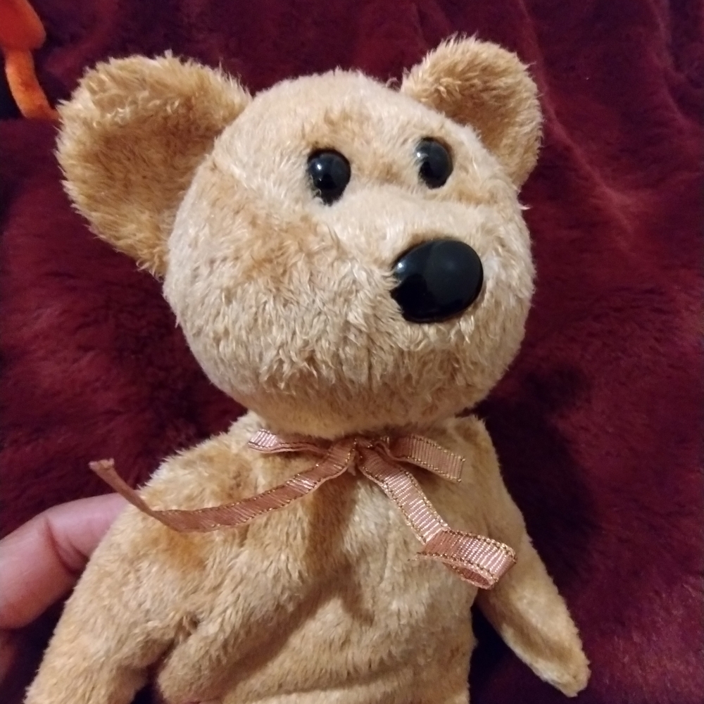 Ty Beanie Babies - CASHEW the SUPER SOFT brown bear soft toy - Picture 13 of 15